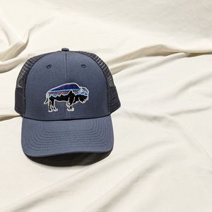 Patagonia Cap